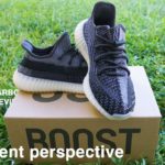 Adidas Yeezy 350 v2 CARBON | ARE THEY WORTH IT?!