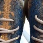 Adidas Yeezy Boost 380 Blue Oat Reflective Code:FX9847  #adidas #yeezy380 #style #sneakerhead #panda