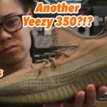 Honest Opinions on the Yeezy 350 Sand Taupe (Sneaker Review)