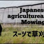 Japaneseagricultureartist part2　Mowing　スーツで草刈り