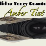 adidas Yeezy Quantum Amber Tint