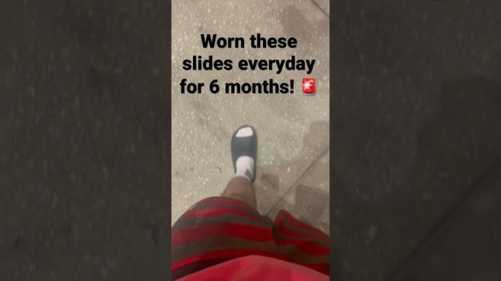 Ive Worn these yeezy slides everyday for the past 6 months!