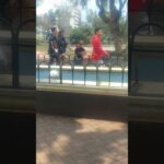 red jacket dude and his dog on a sunny day as they walks by #rosegarden #baguiocity shorts…