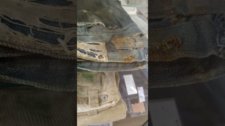 これが199800円のMA1フライトジャケットだ！🤩