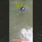 今日はライフジャケットを少しだけ脱いで、川底を歩く。川を楽しむ遊び。やってみてはどう？#星竹BBQランド　