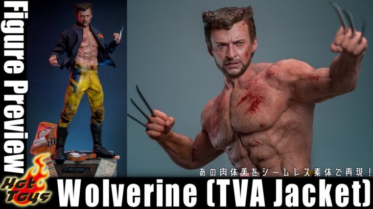 ホットトイズ ウルヴァリン TVAジャケットバージョン登場！  / HotToys Deadpool & Wolverine – Wolverine (TVA Jacket) Preview