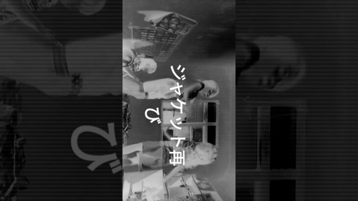 ジャケット再び #dance #サイズ感