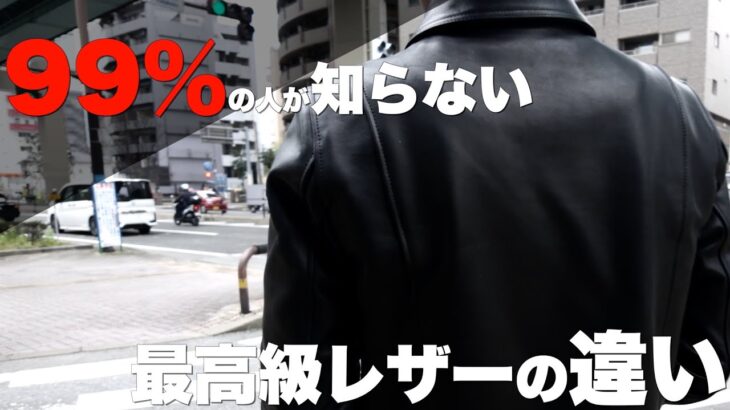 【ライダースジャケット】99％の人が体感したことがないレザー。その魅力と完全版ラインナップを徹底解説。#革ジャン #ライダースジャケット #ファッション #ルイスレザー #新作 #leather