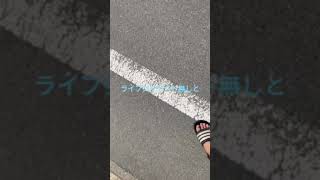 Amazonの大型犬用のライフジャケット買って試してみた！