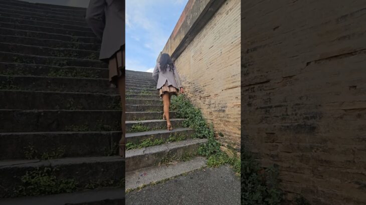 Jacket suit pleated skirt chiffon blouse brown stockings