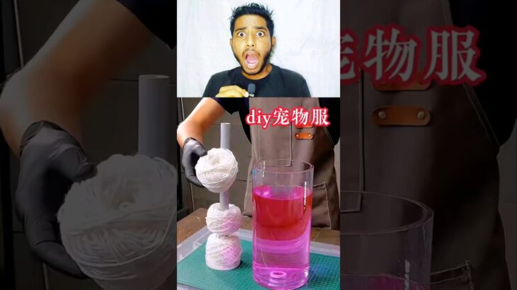 Making Dog 🐶 Jacket #shorts