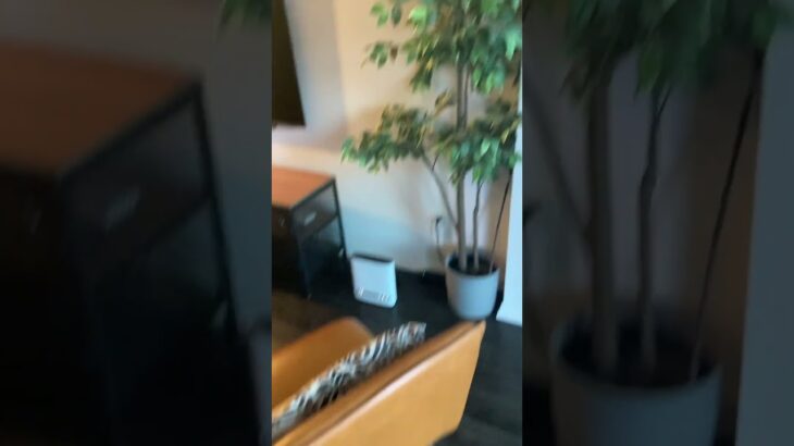 My leather jacket & guitar purse match this condos decor – how weird…