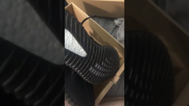 Yeezy Boost Black & Red