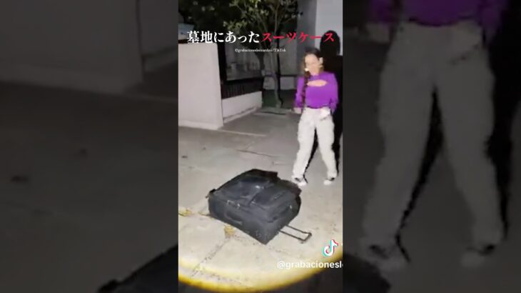 墓地にあったスーツケースがやばい #怖い #心霊 #都市伝説 #shorts