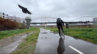 【ARC’TERYX】雨の降る中でゴアテックスジャケットとパンツの操作性を説明してみました。【Alpha SV Jacket】【Beta Pant】