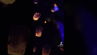 Glowing stuff are just mesmerizing. Btw this jacket will be available at my etsy shop