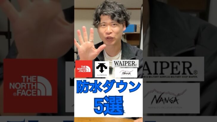 【完全勝利】嵐でも耐えるダウンジャケット5選！