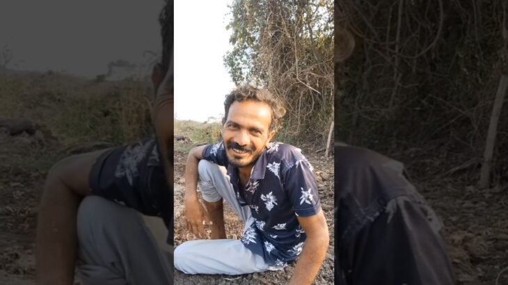 હે દેવાયત ભાઈ 🤣#alexisskyy #offset #bardi #yeezy #youtuber #tylerperry #meghanmarkle #lhhla #yonce #