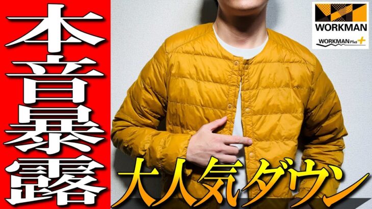 【ワークマン】最強コスパダウンの秘密暴露！インナーダウンジャケットを完全解説！