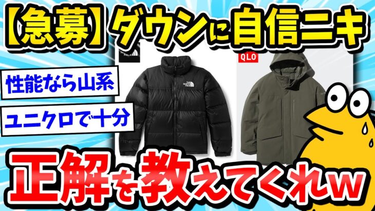 【2ch面白いスレ】ダウンジャケットに自信二キ教えてくれｗ【メンズファッション/ゆっくり解説】