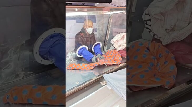 Recycled jacket to blanket #shortsvideo