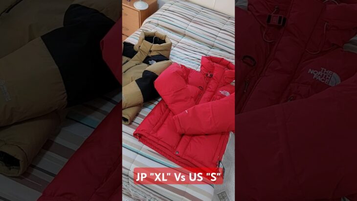 The North Face GTX Summit Series Hima Vs Japan Baltoro Parka | Differences and Sizes