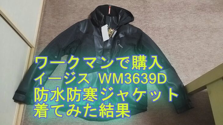 【ワークマン】イージスWM3639D　防寒ジャケット購入結果