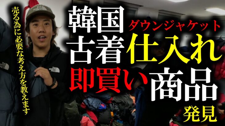 【韓国古着】ダウンジャケット仕入れで激熱商品？！【超激熱】#韓国仕入れ #韓国通販 #韓国輸入 #ノースフェイス #副業