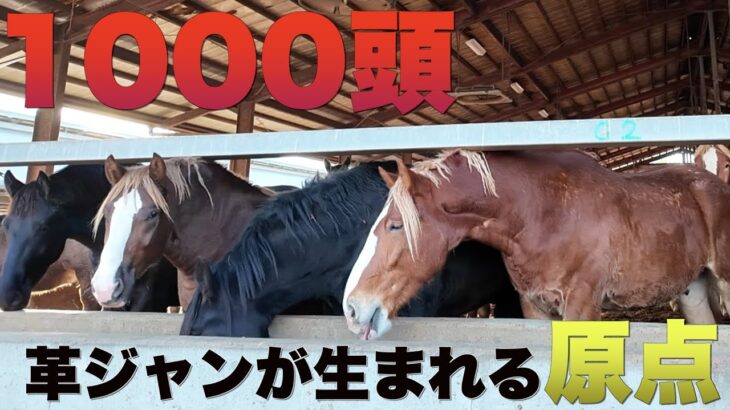 【革ジャンの背景】手放せないライダースジャケットが生まれる裏での苦労と受け入れてもらえる喜び、馬への感謝。#革ジャン #ライダースジャケット #馬革 #革製品 #レザー #新作
