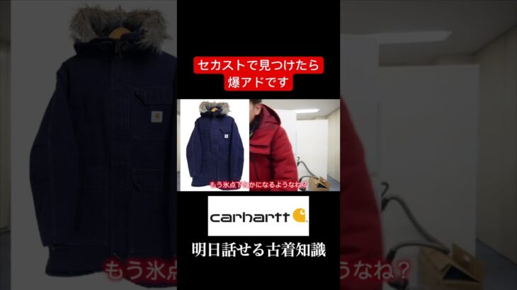 セカストで見つけたら2秒で買うべきカーハートのジャケット