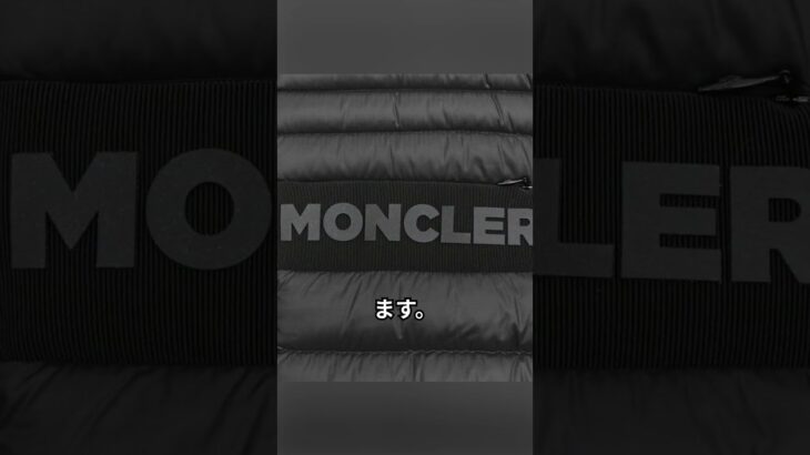 【レビュー】[モンクレール] ダウンジャケット CONQUES GIUBBOTTO