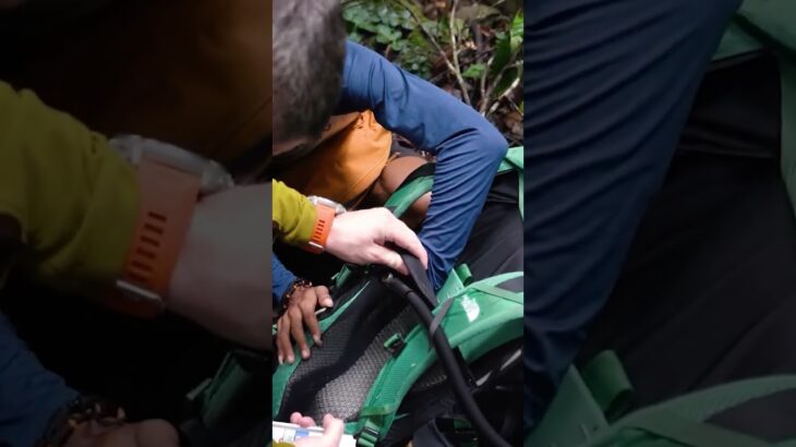 Di gigit muluh saya 😭