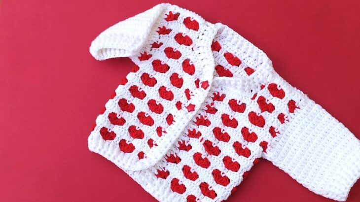 🌿 Discover How to Make a Crochet Jacket 🧥 for All Sizes