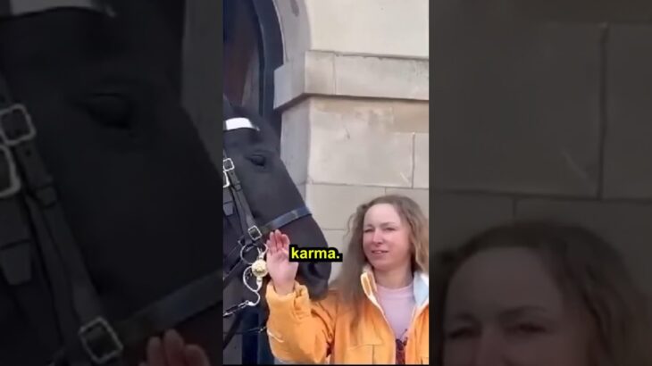 Instant Karma To Yellow Jacket Lady #royalguards