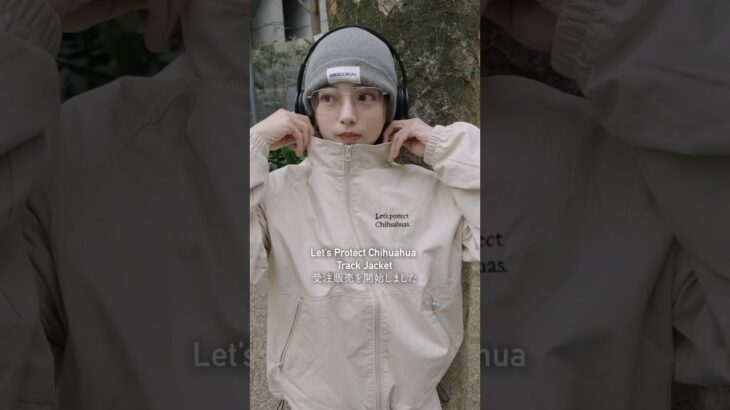 【受注開始】Let’s Protect chihuahua track jacketの受注販売を開始します #shorts #チワワ #ootd