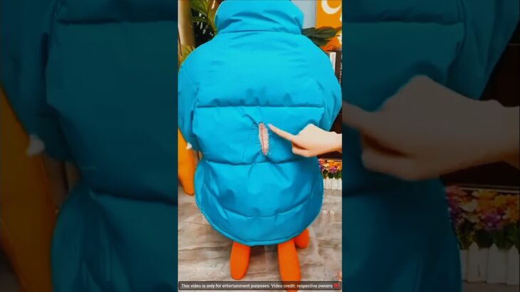 दीदी की jacket फट गाई🧥|| woodworking art skills/craft #shorts #shortsfeed