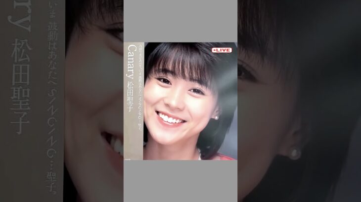 ジャケットの聖子が動く！？😂Canary 松田聖子LP 妖精たちのTea Party #松田聖子 #Canary #Tea Party #ai