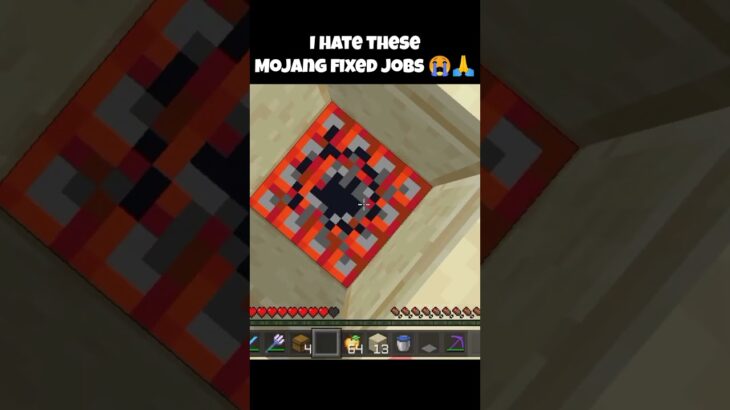 I hate these Mojang Fixed Jobs 😭🙏 #minecraft #yeezy