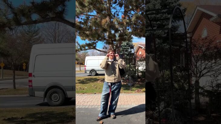 ✨OOTD✨ new jacket! #ootd #outfit #thrifted #outfitinspo #fashionstyle