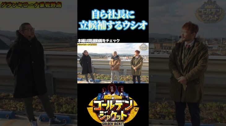 【自ら社長に立候補するウシオ!!】#ゴールデンジャケット #ウシオ #ヤルヲ #トメキチ