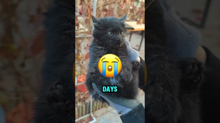 He Unzipped His Jacket and People Went WILD! 😲🔥