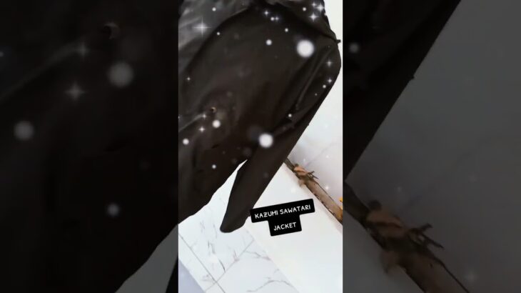 Kazumi Sawatari cosplay jacket