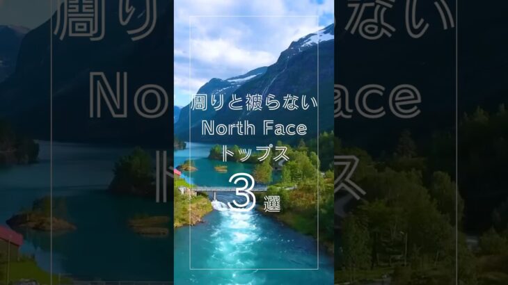 周りと被らない！NORTH FACEトップス