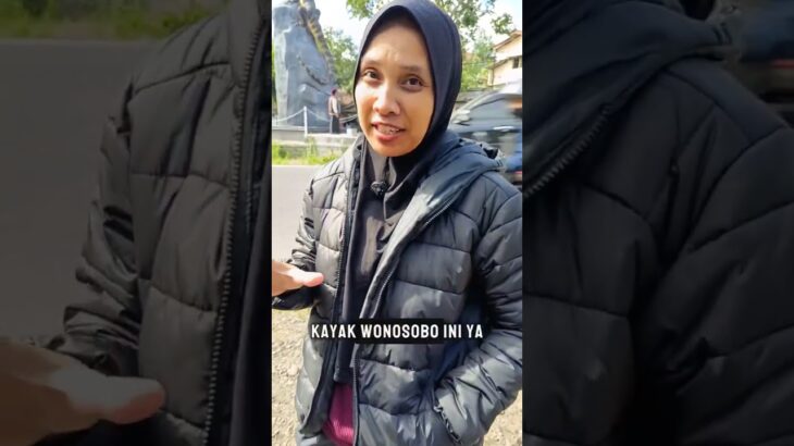 Pake jaket gelembung yg mau liat patung biawak #patungbiawak #shorts