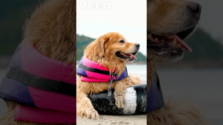 The first cork life jacket was patented in 1765 by Dr John Wilkinson.