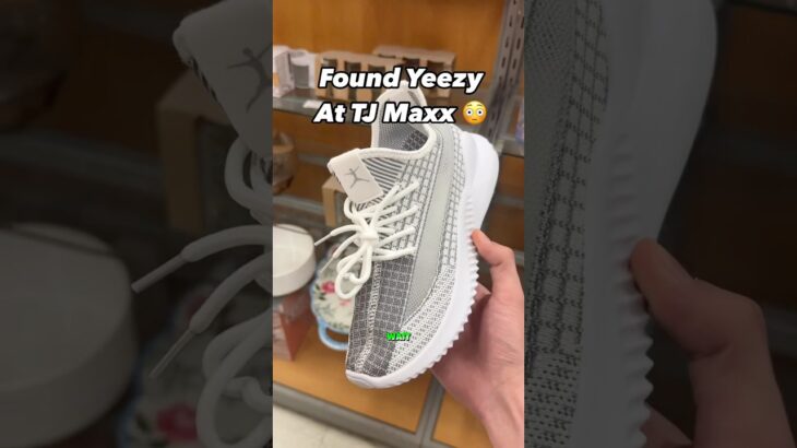 Would You Wear These? #crazy #score #tjmaxx #yeezy #knockoff #sneakers #explore #shoes #adidas #fyp