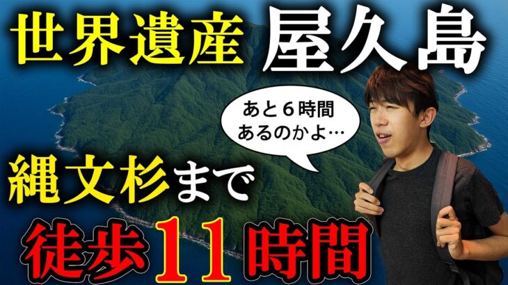【世界遺産の島】JALで行く屋久島3泊4日の旅　徒歩11時間の縄文杉コースへ