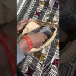 Myntra leather jacket unboxing || highlander leather jacket unboxing #myntrajacket #leatherjacket