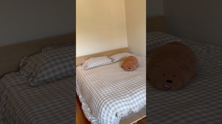 Early bday surprise! Corporate chic bag, jacket & Kmart gingham sheets = obsessed 🩷✨ #KmartFinds