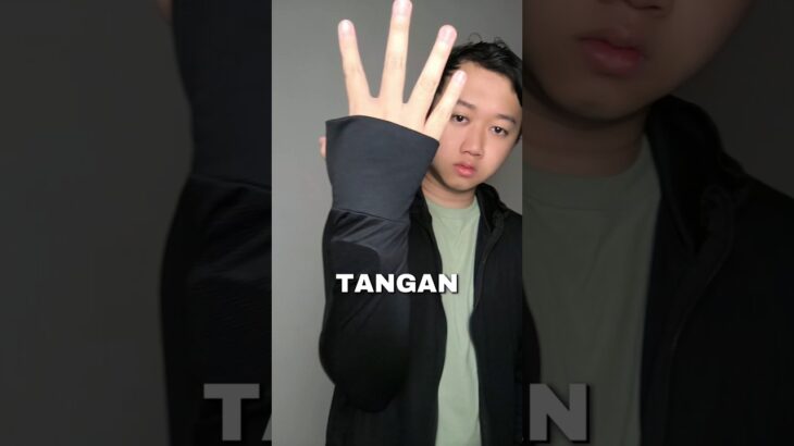 Jaket buat yang males pake sunscreen